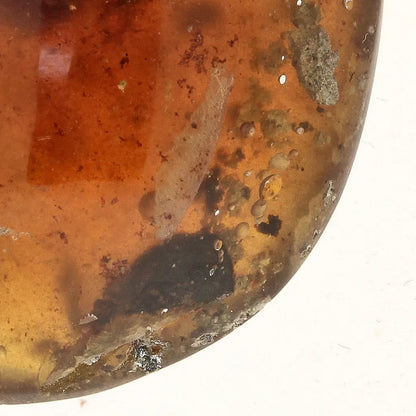 Get your Myanmar Amber Burmite with Prehistoric Insect Inclusions online now or in store at Forever Gems in Franschhoek, South Africa