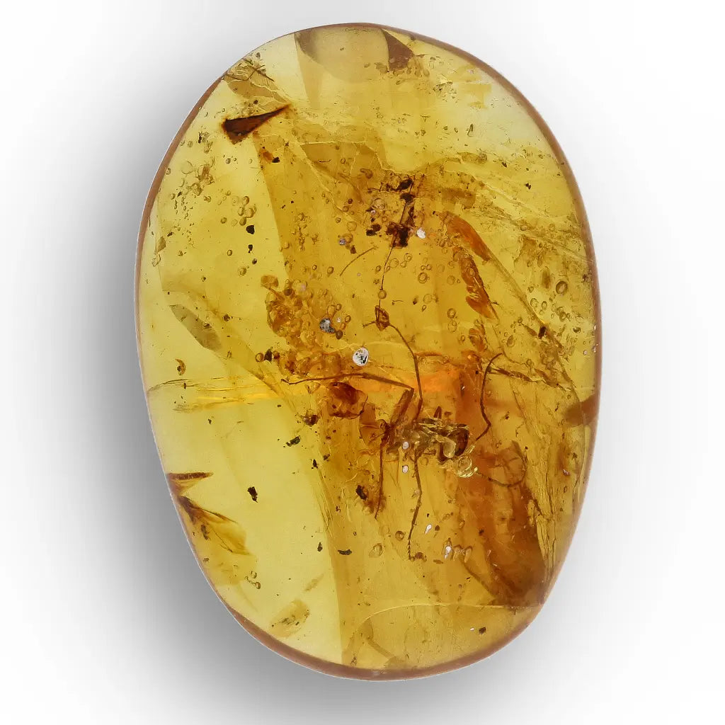 Get your Rare Myanmar Amber Insect Inclusion – Collector’s Piece online now or in store at Forever Gems in Franschhoek, South Africa