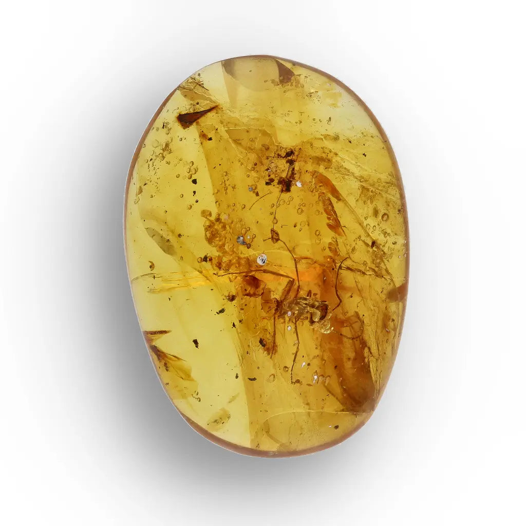 Get your Rare Myanmar Amber Insect Inclusion – Collector’s Piece online now or in store at Forever Gems in Franschhoek, South Africa