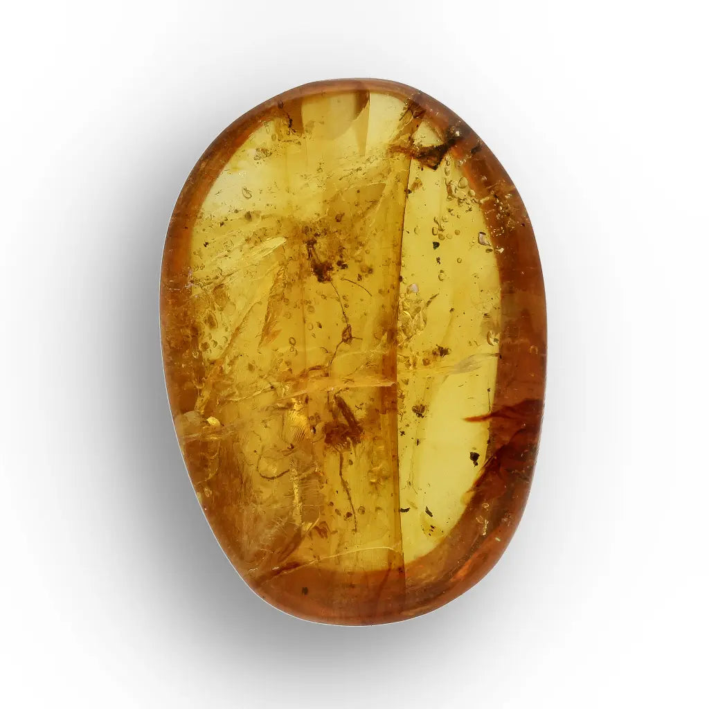 Get your Rare Myanmar Amber Insect Inclusion – Collector’s Piece online now or in store at Forever Gems in Franschhoek, South Africa