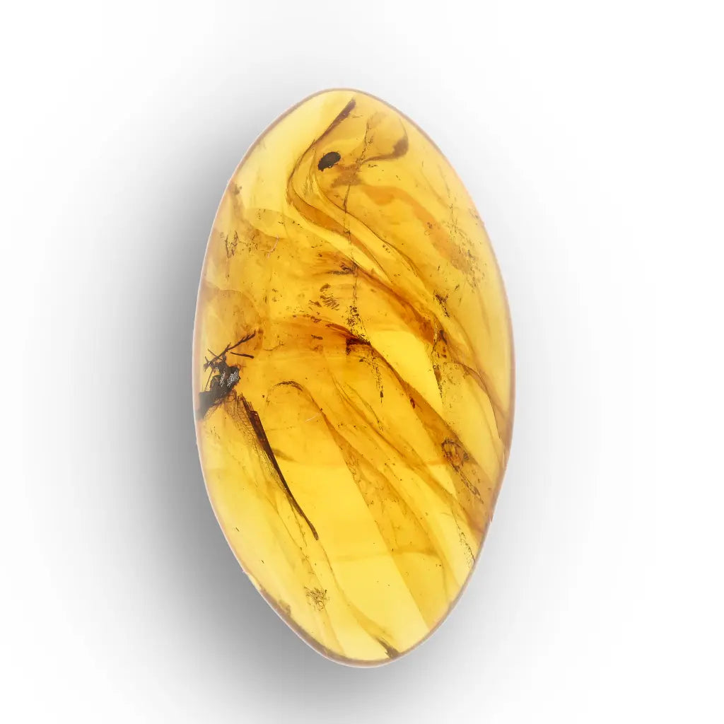Get your Authentic Myanmar Burma Amber with Insect Inclusions online now or in store at Forever Gems in Franschhoek, South Africa