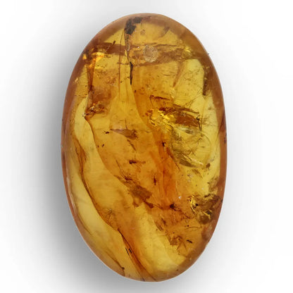 Ancient Myanmar Amber with Exceptional Insect Inclusions