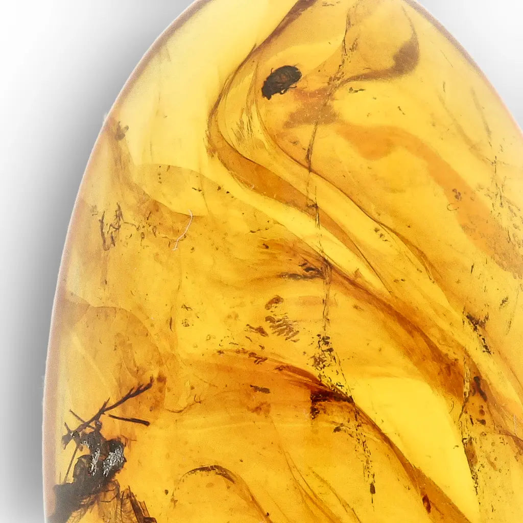Get your Authentic Myanmar Burma Amber with Insect Inclusions online now or in store at Forever Gems in Franschhoek, South Africa