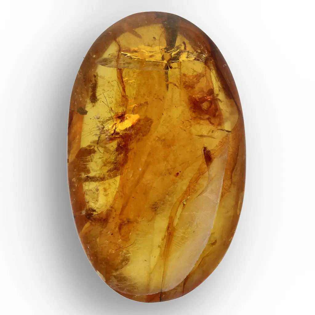 Ancient Myanmar Amber with Exceptional Insect Inclusions