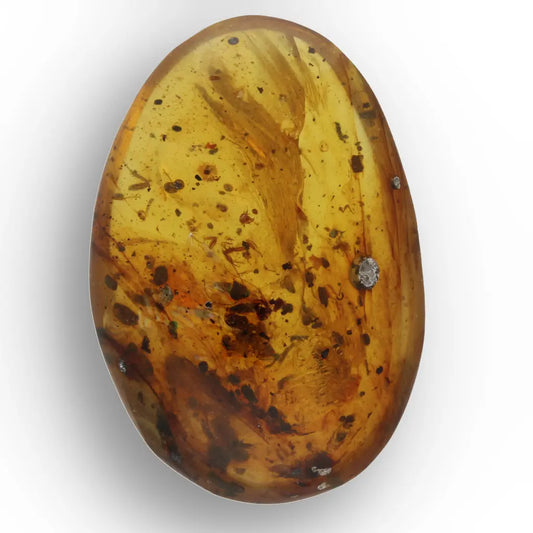 Get your Natural Burma Amber with Ancient Insect Inclusion Fossil online now or in store at Forever Gems in Franschhoek, South Africa