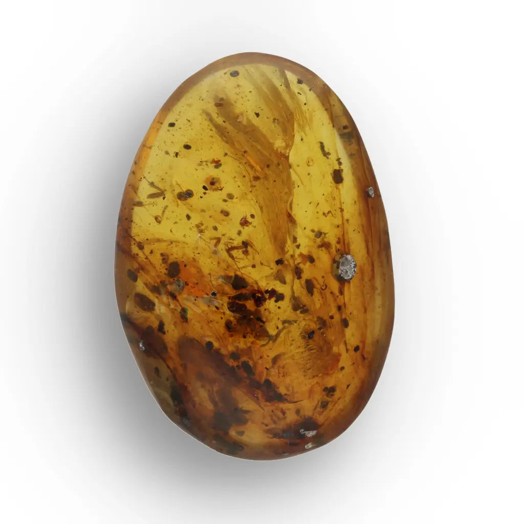 Get your Natural Burma Amber with Ancient Insect Inclusion Fossil online now or in store at Forever Gems in Franschhoek, South Africa