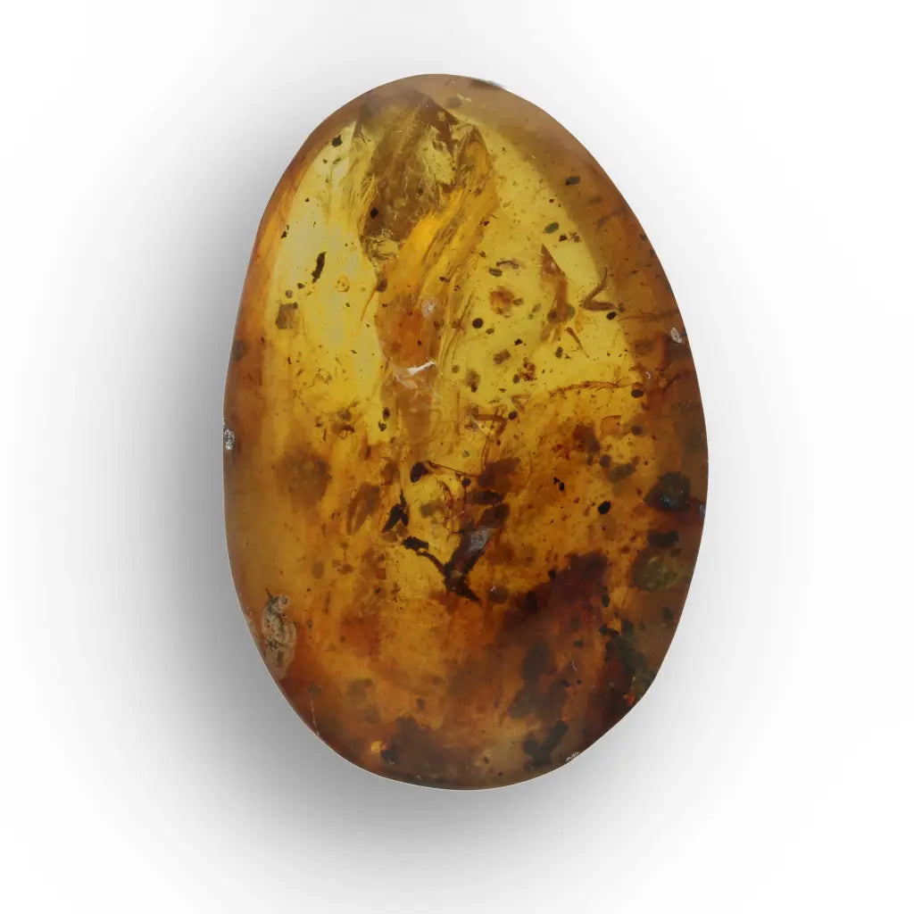 Get your Natural Burma Amber with Ancient Insect Inclusion Fossil online now or in store at Forever Gems in Franschhoek, South Africa