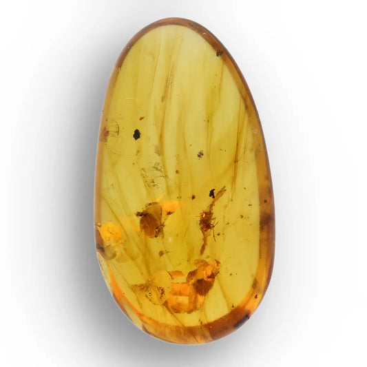 Cretaceous Myanmar Amber Preserving Multiple Insects