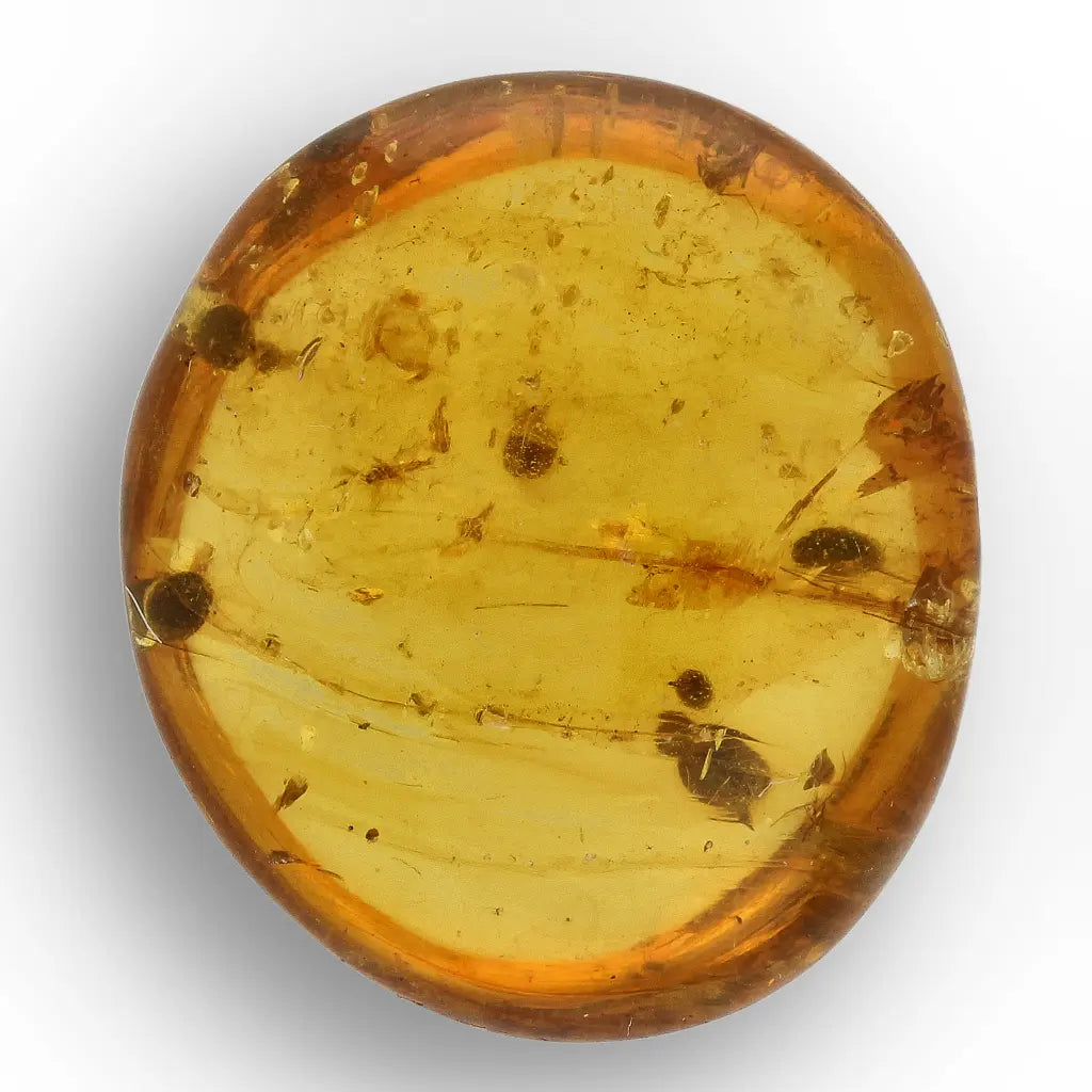 Get your Burmese Amber Insect Inclusion – Real Fossilised Amber online now or in store at Forever Gems in Franschhoek, South Africa
