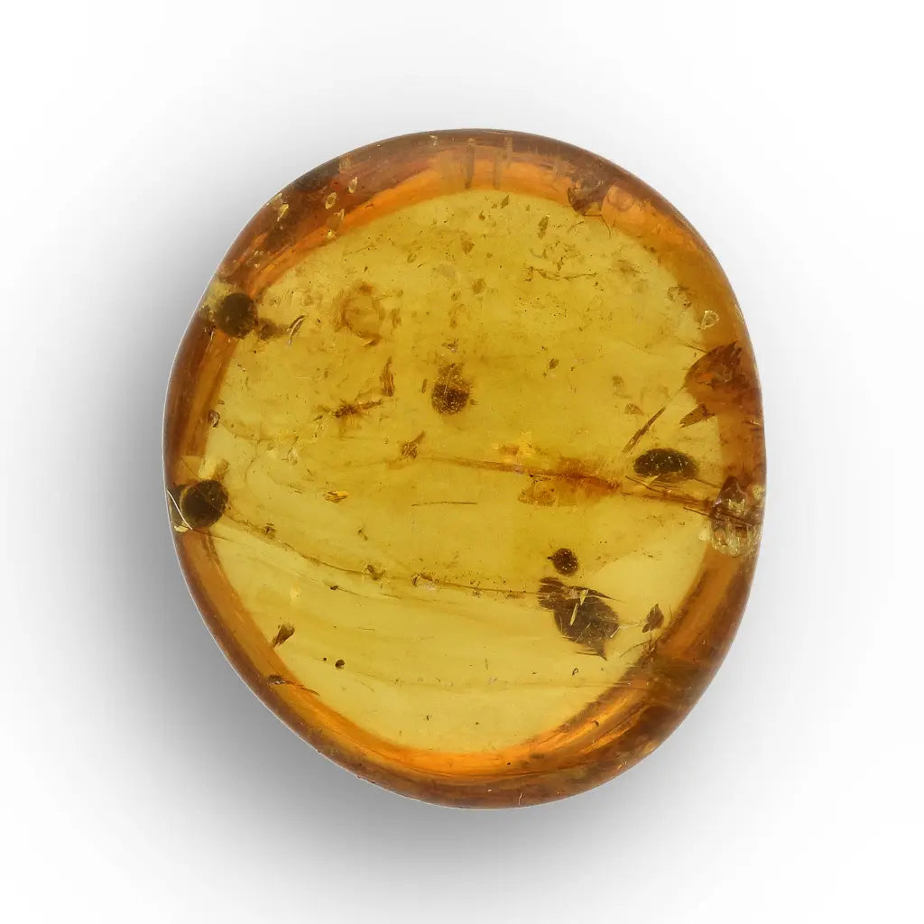 Get your Burmese Amber Insect Inclusion – Real Fossilised Amber online now or in store at Forever Gems in Franschhoek, South Africa