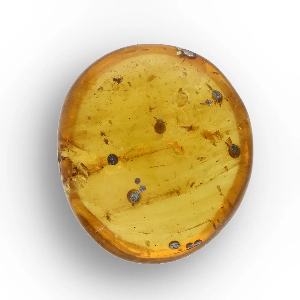Get your Burmese Amber Insect Inclusion – Real Fossilised Amber online now or in store at Forever Gems in Franschhoek, South Africa