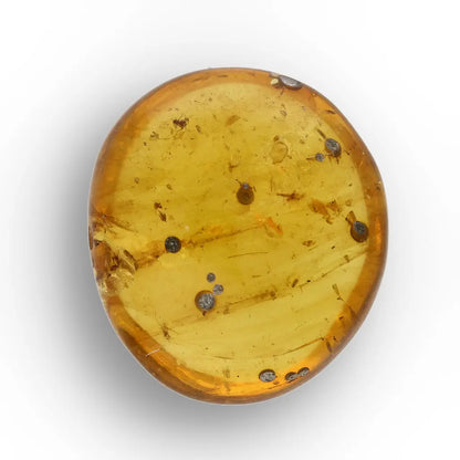 Get your Burmese Amber Insect Inclusion – Real Fossilised Amber online now or in store at Forever Gems in Franschhoek, South Africa