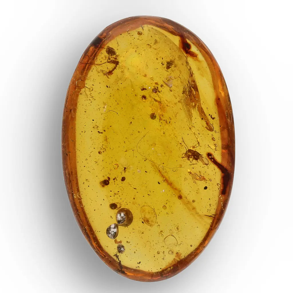 Get your Genuine Amber from Myanmar with Insect Inclusion Specimen online now or in store at Forever Gems in Franschhoek, South Africa