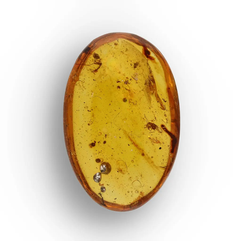 Get your Genuine Amber from Myanmar with Insect Inclusion Specimen online now or in store at Forever Gems in Franschhoek, South Africa
