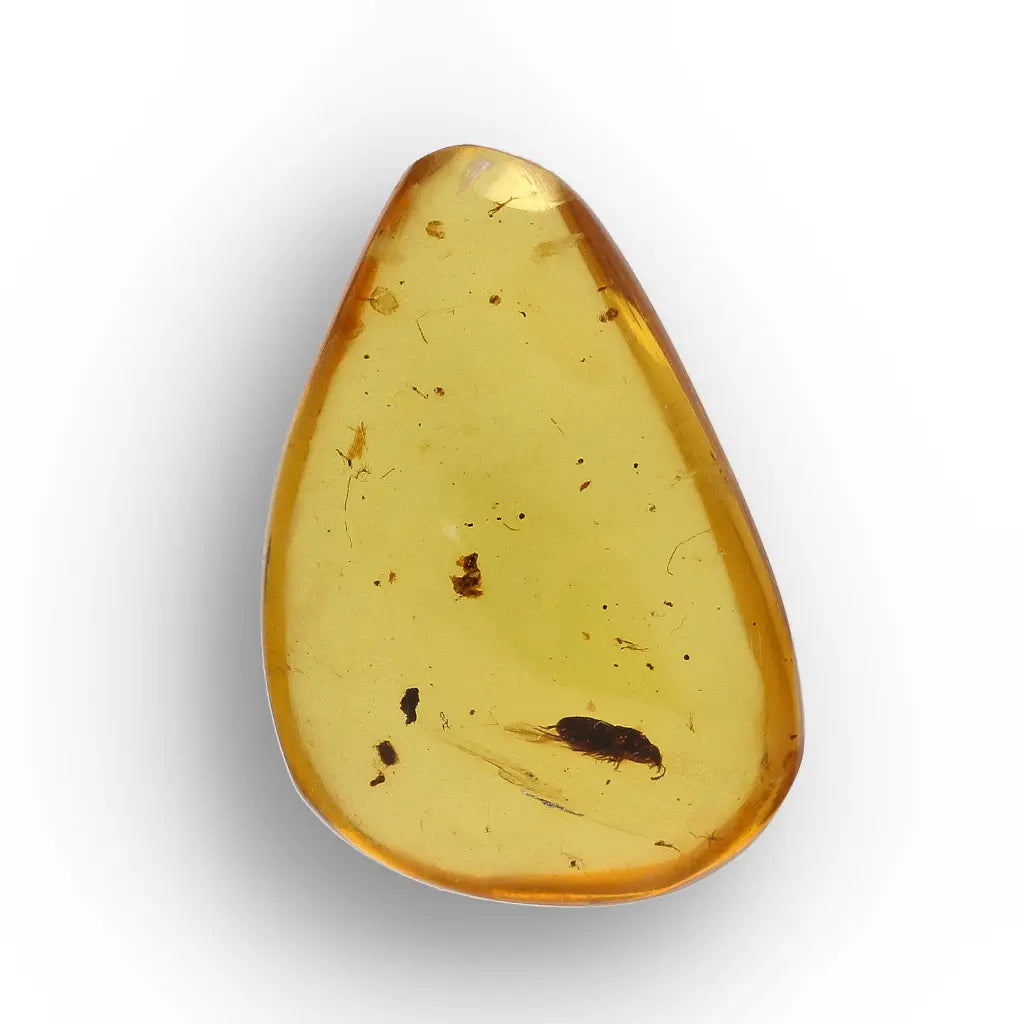 Get your Myanmar Amber with Prehistoric Insect – Natural Inclusion online now or in store at Forever Gems in Franschhoek, South Africa