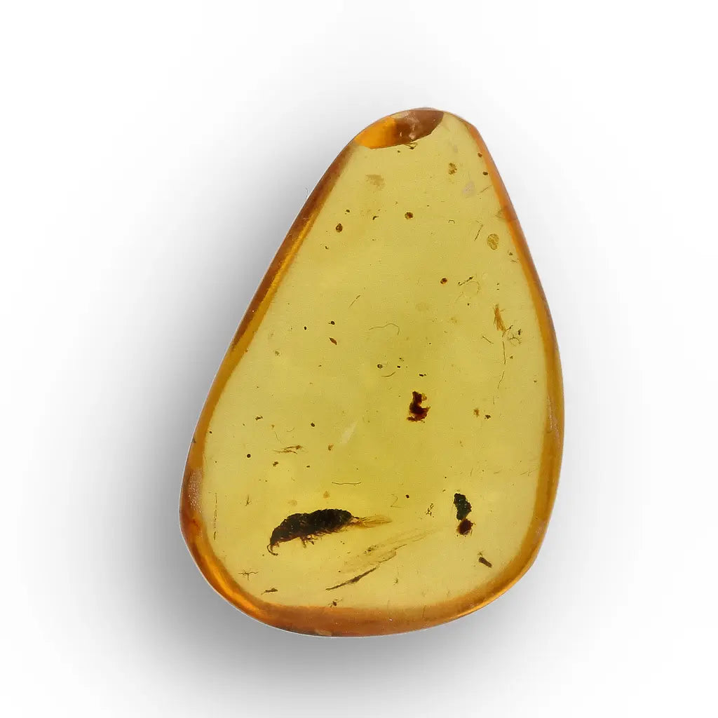 Get your Myanmar Amber with Prehistoric Insect – Natural Inclusion online now or in store at Forever Gems in Franschhoek, South Africa