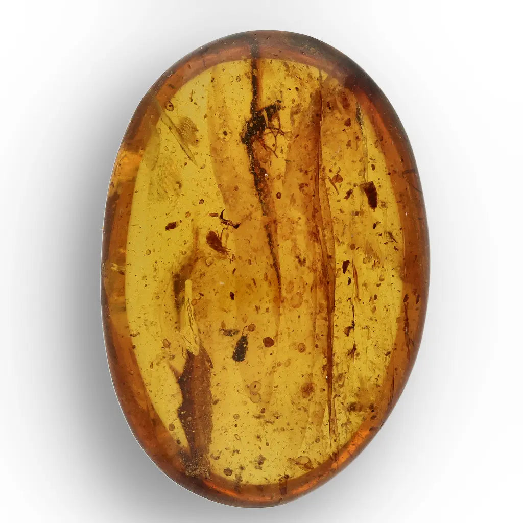 Get your Amber Fossil with Insect Inclusion – Myanmar Origin online now or in store at Forever Gems in Franschhoek, South Africa