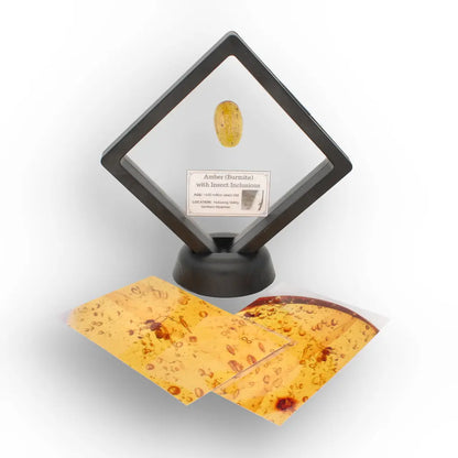 Get your Myanmar Amber with Insect Inclusions – Ancient Fossil online now or in store at Forever Gems in Franschhoek, South Africa
