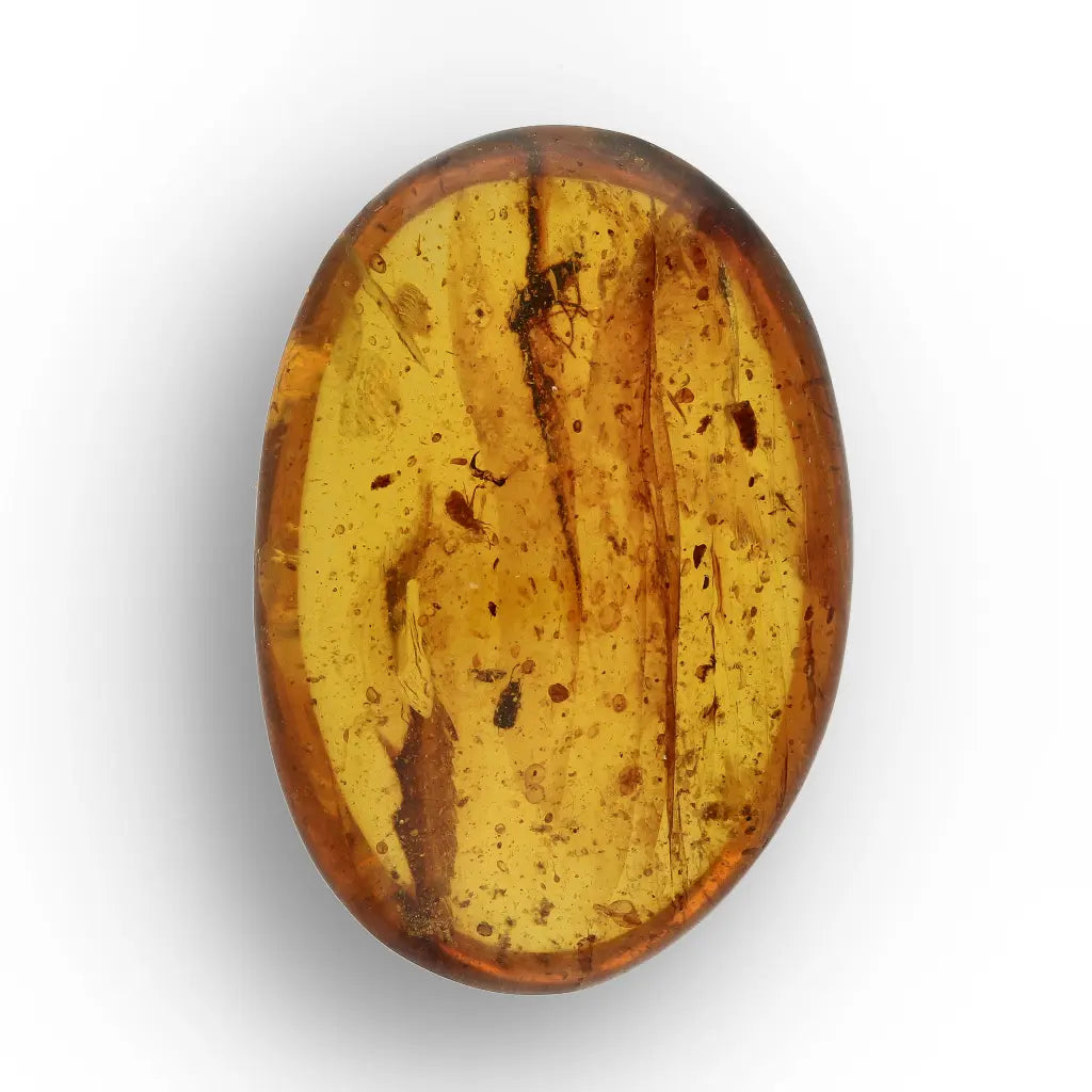 Get your Amber Fossil with Insect Inclusion – Myanmar Origin online now or in store at Forever Gems in Franschhoek, South Africa