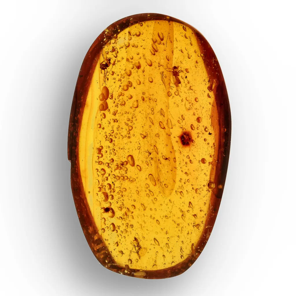 Get your Myanmar Amber with Insect Inclusions – Ancient Fossil online now or in store at Forever Gems in Franschhoek, South Africa