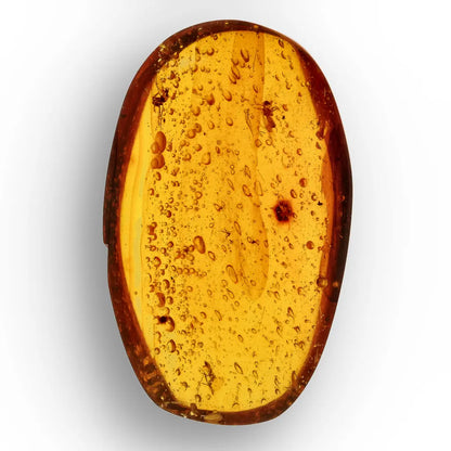 Get your Myanmar Amber with Insect Inclusions – Ancient Fossil online now or in store at Forever Gems in Franschhoek, South Africa