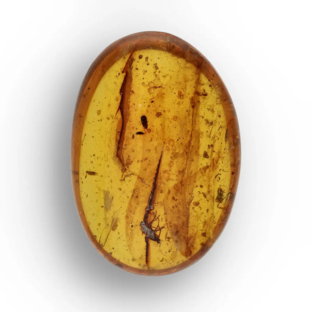 Get your Amber Fossil with Insect Inclusion – Myanmar Origin online now or in store at Forever Gems in Franschhoek, South Africa