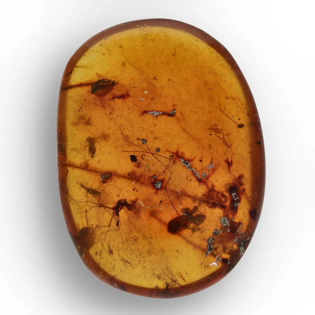 Get your Burma Amber with Trapped Prehistoric Insect – Collectible online now or in store at Forever Gems in Franschhoek, South Africa