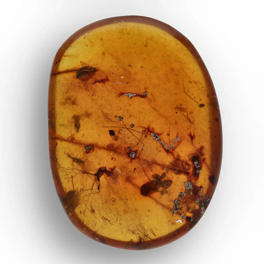 Get your Burma Amber with Trapped Prehistoric Insect – Collectible online now or in store at Forever Gems in Franschhoek, South Africa
