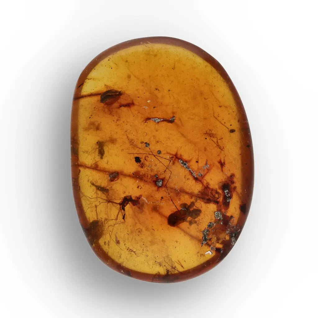 Get your Burma Amber with Trapped Prehistoric Insect – Collectible online now or in store at Forever Gems in Franschhoek, South Africa