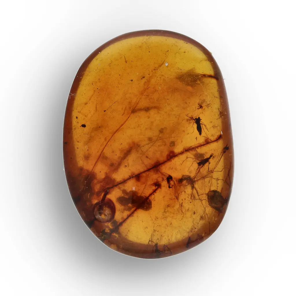 Get your Burma Amber with Trapped Prehistoric Insect – Collectible online now or in store at Forever Gems in Franschhoek, South Africa