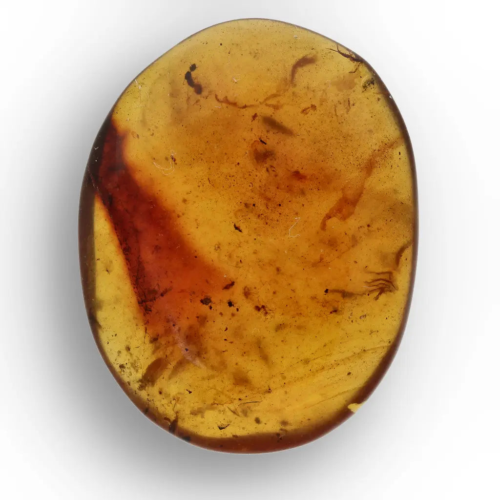 Cretaceous Myanmar Amber with Multiple Insect Inclusions