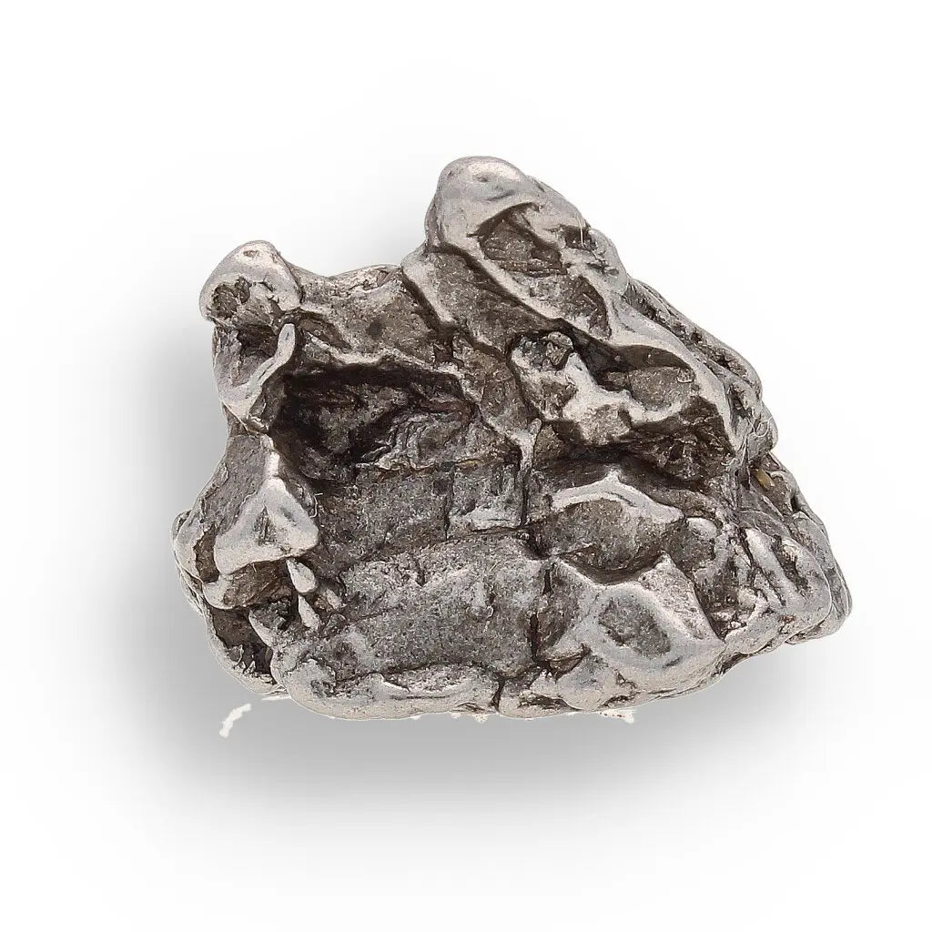 Get your Space & Earth Fossil Gift Box – Meteorite, Trilobite & Sea Urchin online now or in store at Forever Gems in Franschhoek, South Africa