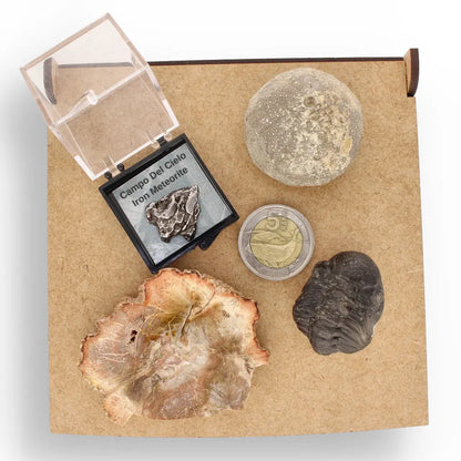 Get your Space & Earth Fossil Gift Box – Meteorite, Trilobite & Sea Urchin online now or in store at Forever Gems in Franschhoek, South Africa