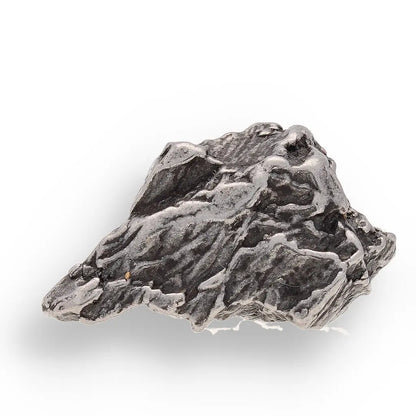 Get your Space & Earth Fossil Gift Box – Meteorite, Trilobite & Sea Urchin online now or in store at Forever Gems in Franschhoek, South Africa