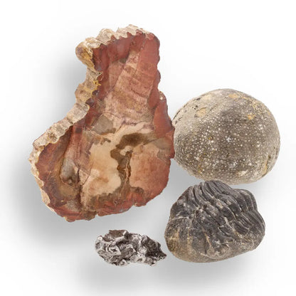 Get your Space & Earth Fossil Gift Box – Meteorite, Trilobite & Sea Urchin online now or in store at Forever Gems in Franschhoek, South Africa