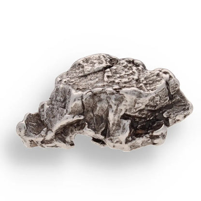 Get your Space & Earth Fossil Gift Box – Meteorite, Trilobite & Sea Urchin online now or in store at Forever Gems in Franschhoek, South Africa