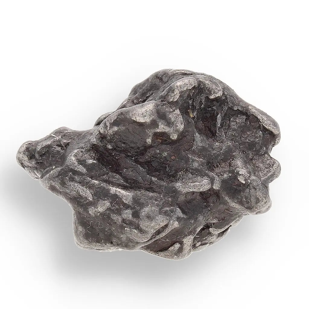 Get your Space & Earth Fossil Gift Box – Meteorite, Trilobite & Sea Urchin online now or in store at Forever Gems in Franschhoek, South Africa