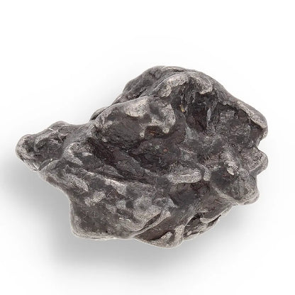 Get your Space & Earth Fossil Gift Box – Meteorite, Trilobite & Sea Urchin online now or in store at Forever Gems in Franschhoek, South Africa