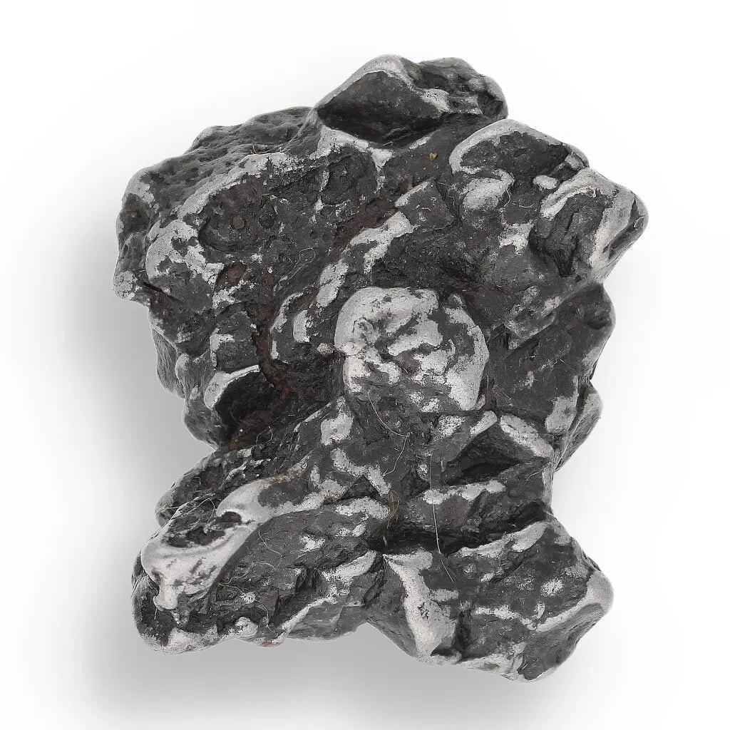 Get your Time Capsule Fossil Gift Box – Shark Tooth, Amber & Meteorite online now or in store at Forever Gems in Franschhoek, South Africa