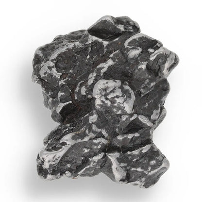 Get your Time Capsule Fossil Gift Box – Shark Tooth, Amber & Meteorite online now or in store at Forever Gems in Franschhoek, South Africa