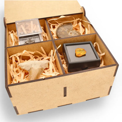 Get your Time Capsule Fossil Gift Box – Shark Tooth, Amber & Meteorite online now or in store at Forever Gems in Franschhoek, South Africa
