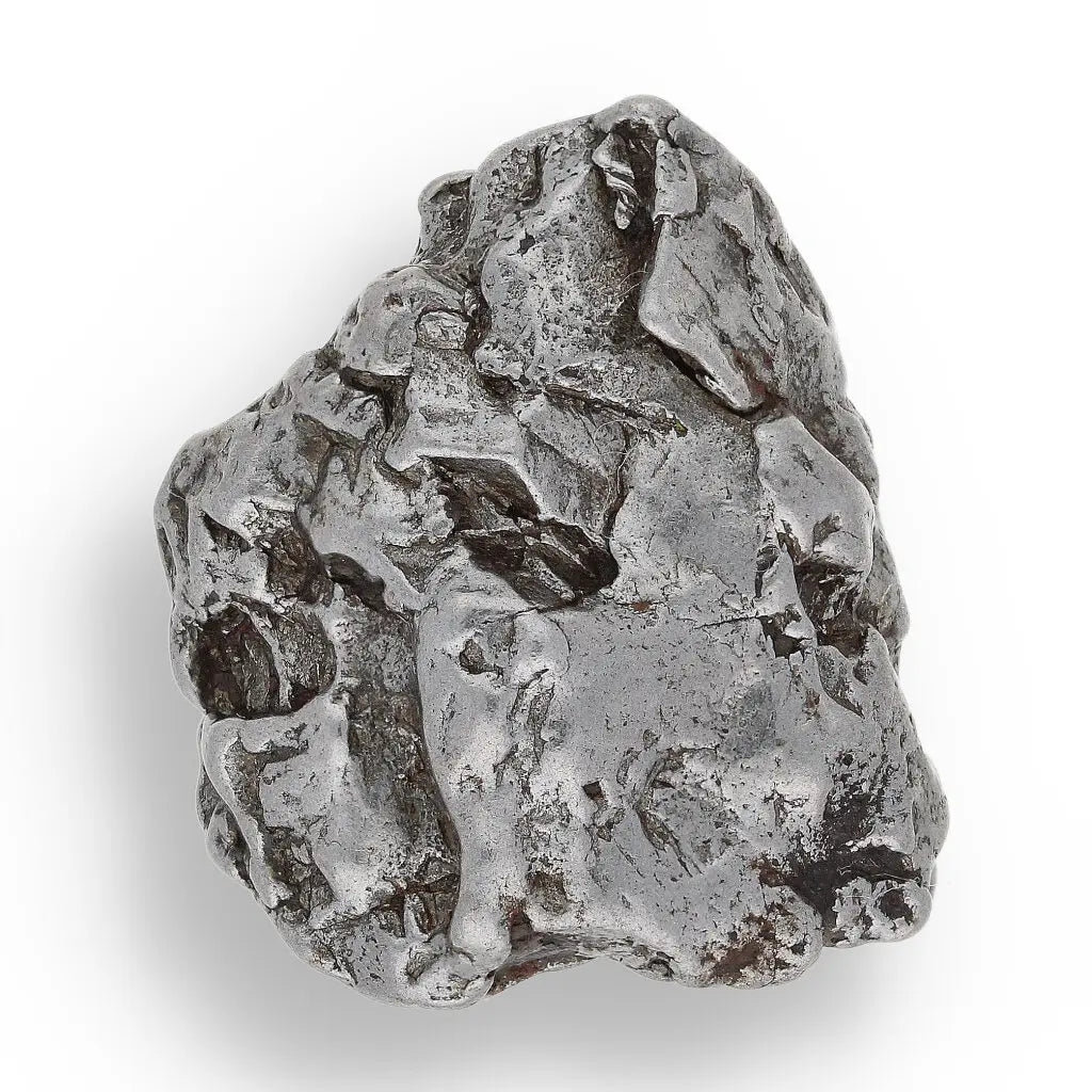 Get your Time Capsule Fossil Gift Box – Shark Tooth, Amber & Meteorite online now or in store at Forever Gems in Franschhoek, South Africa