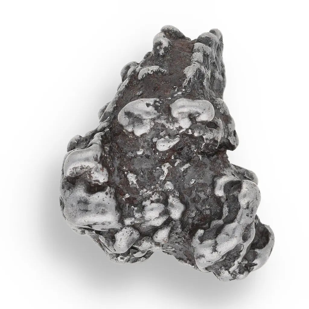 Get your Time Capsule Fossil Gift Box – Shark Tooth, Amber & Meteorite online now or in store at Forever Gems in Franschhoek, South Africa