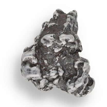 Get your Time Capsule Fossil Gift Box – Shark Tooth, Amber & Meteorite online now or in store at Forever Gems in Franschhoek, South Africa