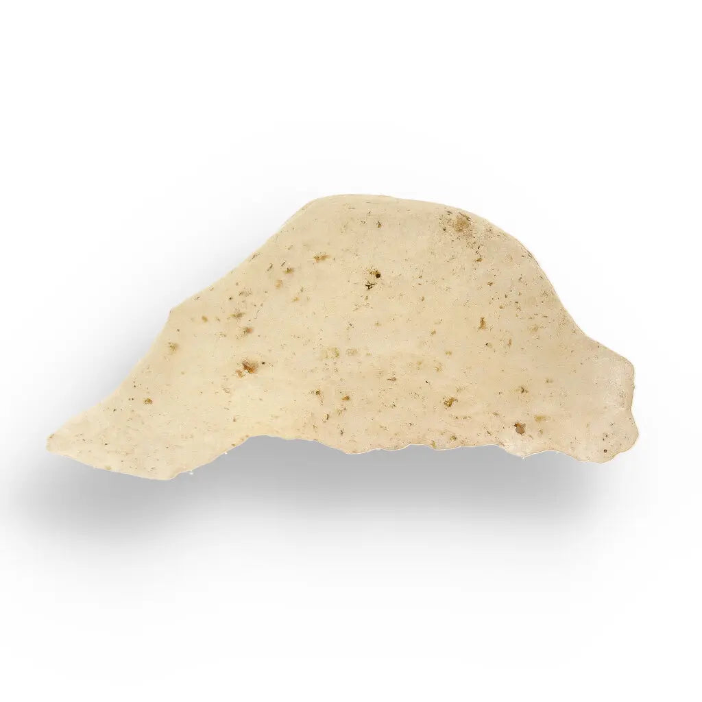 Get your Cosmic Impact Collection - Meteorite & Tektite Gift Box online now or in store at Forever Gems in Franschhoek, South Africa