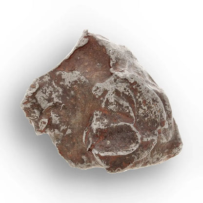 Get your From Asteroid Belt to Earth – A Collector’s Cosmic Treasure Chest online now or in store at Forever Gems in Franschhoek, South Africa