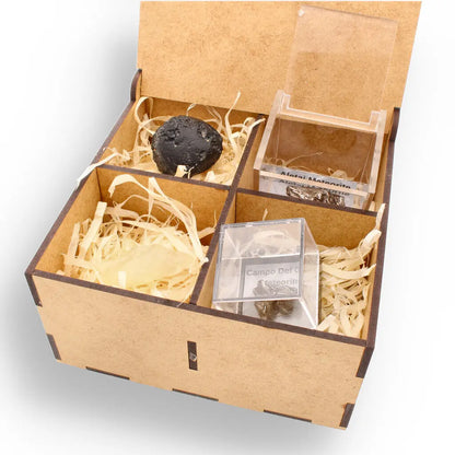 Get your Cosmic Impact Collection - Meteorite & Tektite Gift Box online now or in store at Forever Gems in Franschhoek, South Africa