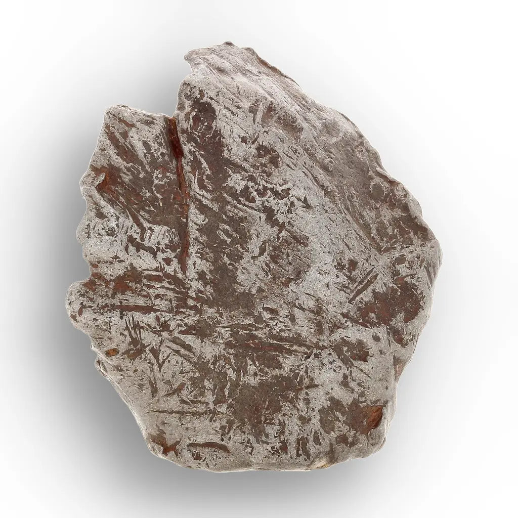 Get your From Asteroid Belt to Earth – A Collector’s Cosmic Treasure Chest online now or in store at Forever Gems in Franschhoek, South Africa