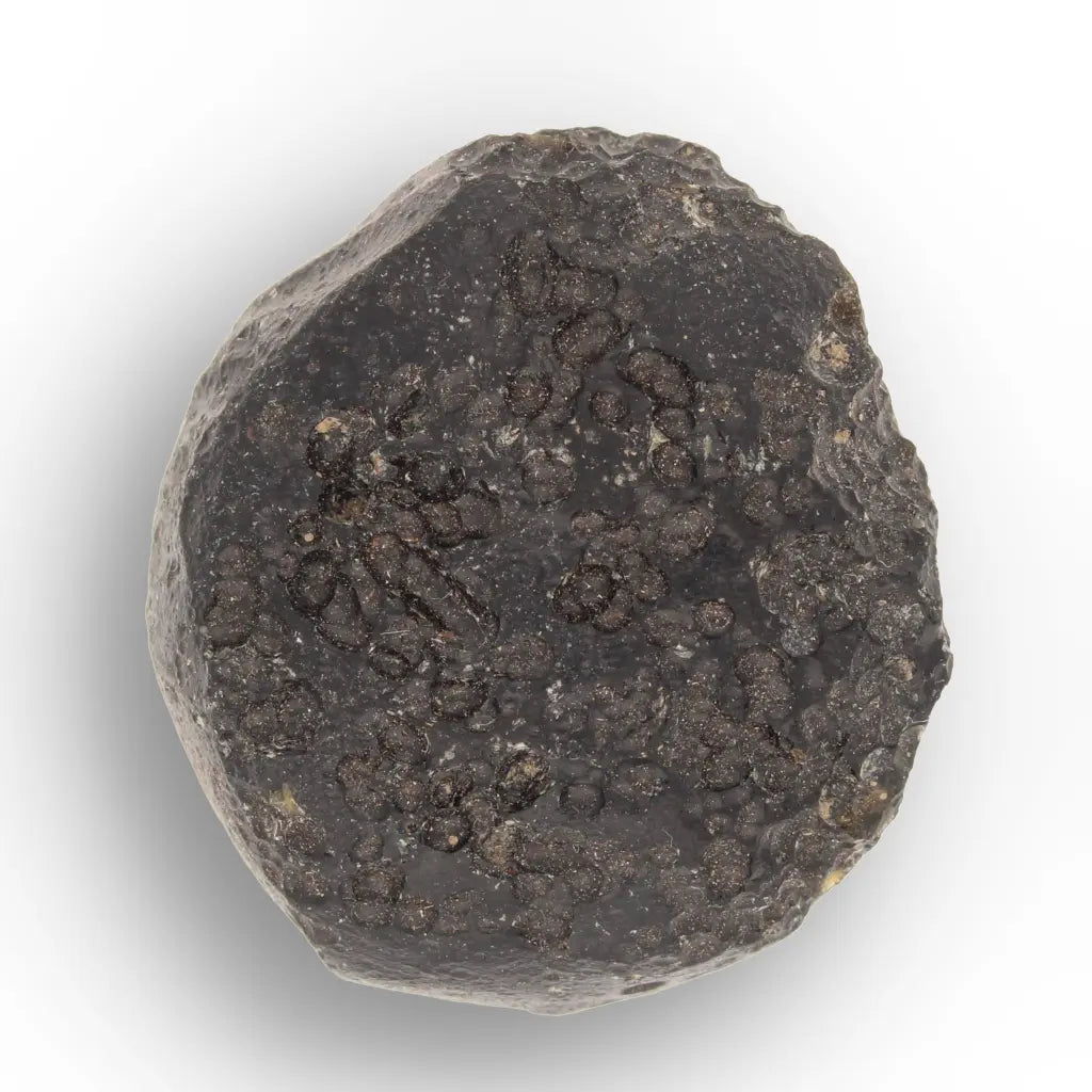 Get your From Asteroid Belt to Earth – A Collector’s Cosmic Treasure Chest online now or in store at Forever Gems in Franschhoek, South Africa