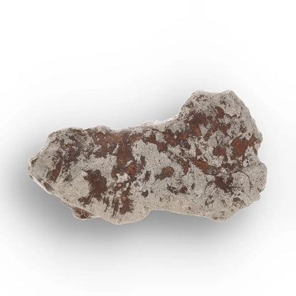 Get your From Asteroid Belt to Earth – A Collector’s Cosmic Treasure Chest online now or in store at Forever Gems in Franschhoek, South Africa